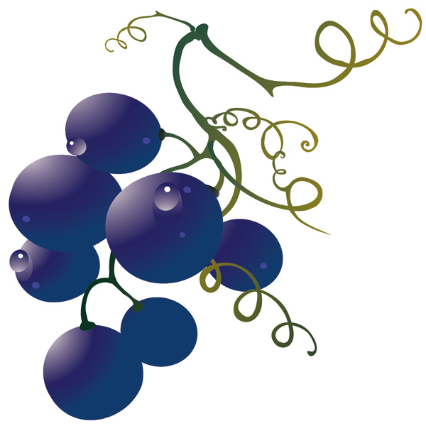 free vector Grape and wine vector